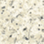 MultiSpec Whitestone