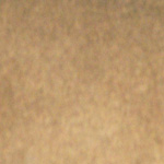 Allied Bronze Metallic