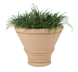 HAVANA Planter