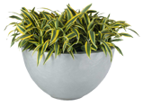 CENTERLINE BOWL Planter