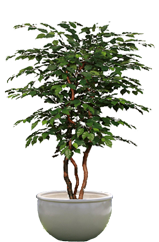 ORLANDO Planter