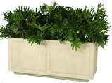 ST. JAMES Planter