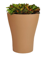 TULIP Planter